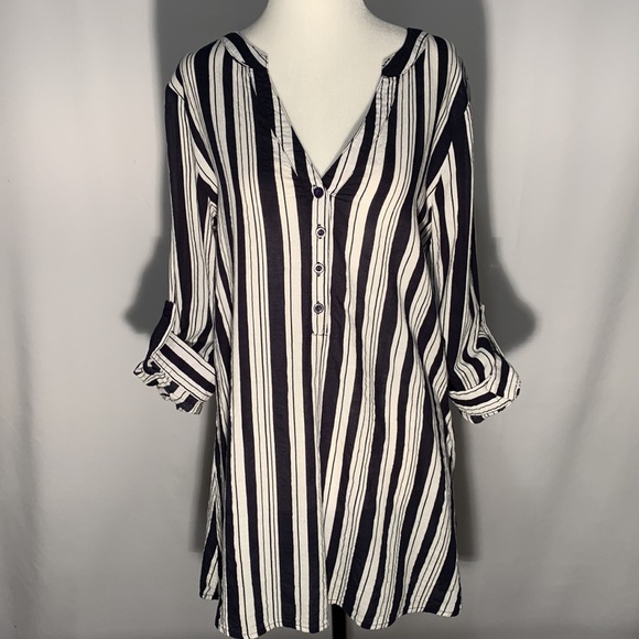 Papllion Size M - Picture 4 of 11